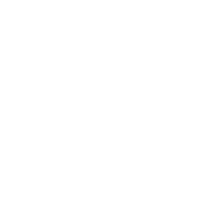 Icon Gamepad